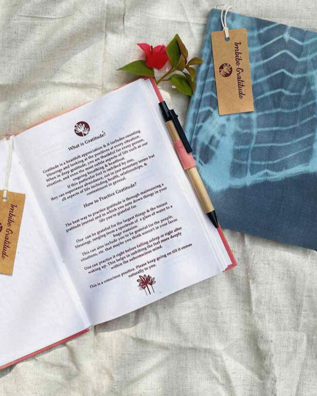 Gratitude Diary